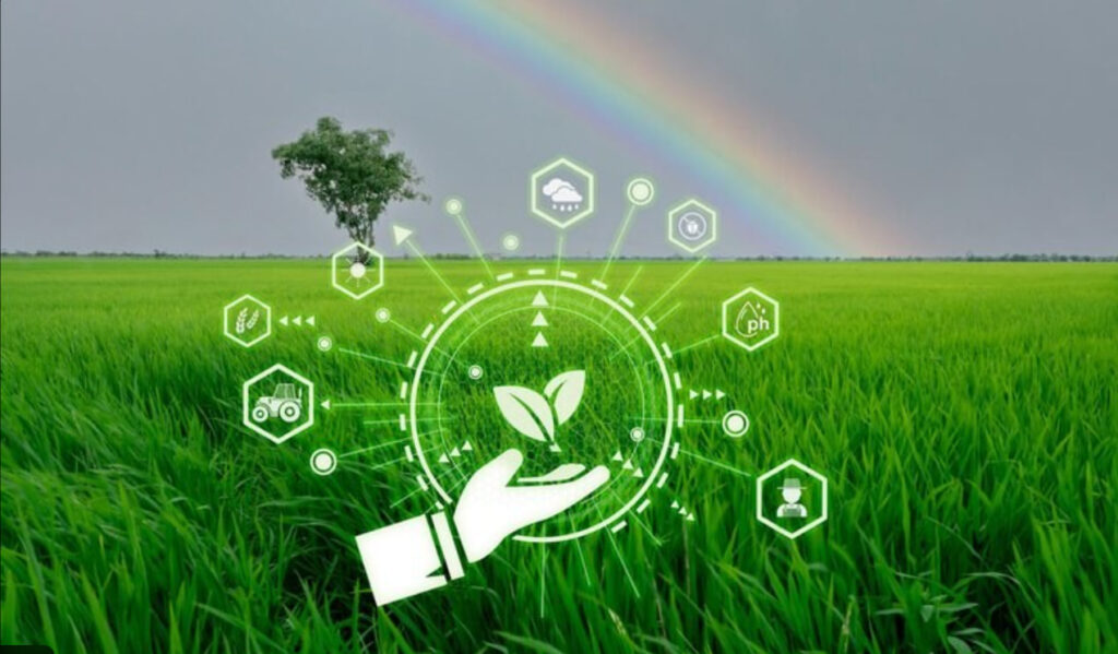 Berita Pertanian Indonesia 2025 menampilkan aktivitas pertanian nasional