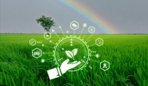 Berita Pertanian Indonesia 2025 menampilkan aktivitas pertanian nasional