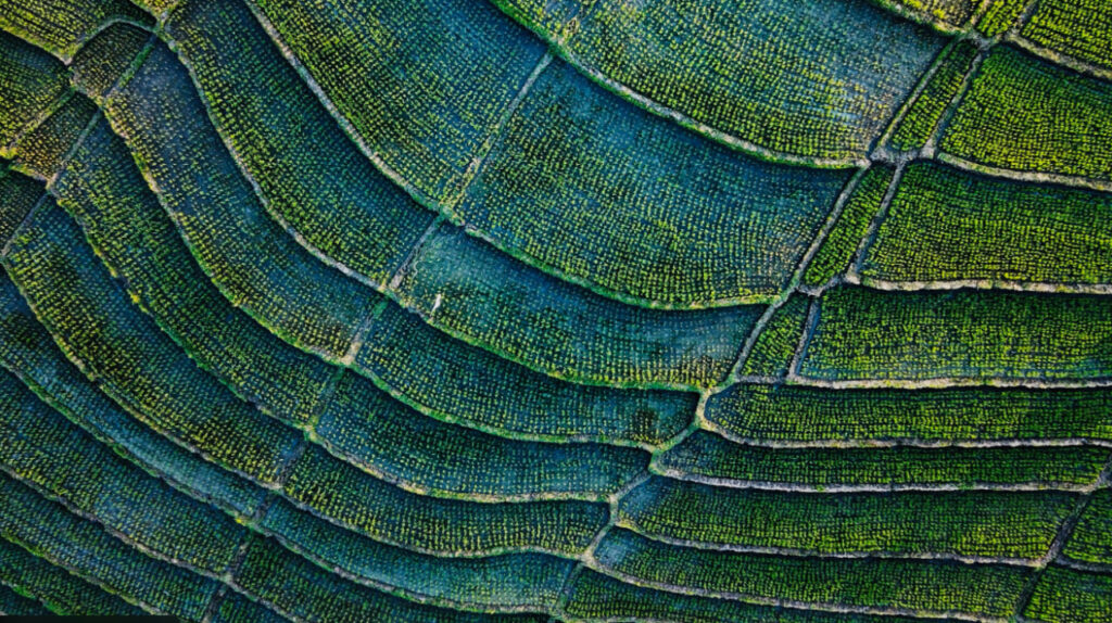 Green Technology 2025 menampilkan inovasi teknologi ramah lingkungan di Indonesia