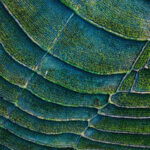 Green Technology 2025: Teknologi Ramah Lingkungan Indonesia