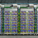 Komputasi Awan 2025: Infrastruktur Digital Masa Depan