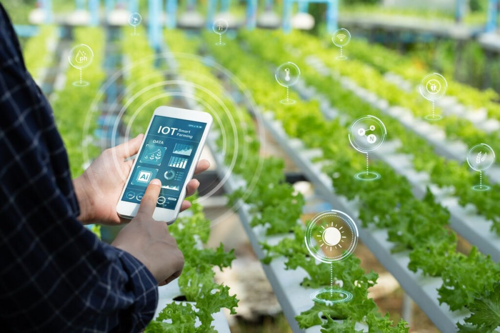 smart farming Indonesia dengan petani menggunakan teknologi digital di lahan pertanian modern